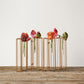Nine Test Tube Vases in a Single Gold Metal Stand