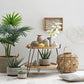 White Stoneware Planters with Black Designs (Set of 2 Designs)
