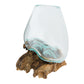 Glass Vase 7" on Natural Wood Base
