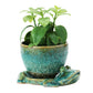 Stoneware Planter with Frog Base, Reactive Glaze, Green, Set of 2 (Each One Will Vary) (Holds 5" Pot)