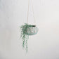 Hanging Handwoven Rattan Planter with Shells & Jute Hanger