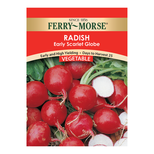 Radish Seeds, Early Scarlet Globe