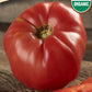 Organic Tomato Seeds, Heirloom Brandywine Red
