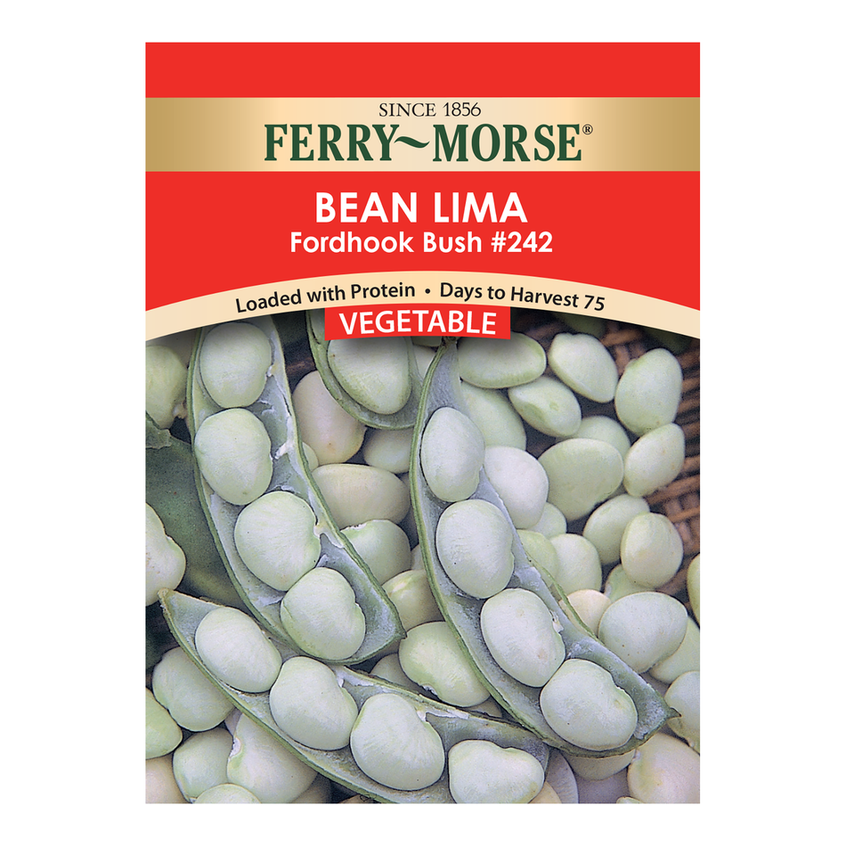Bean Seeds, Lima Fordhook Bush 242 FerryMorse
