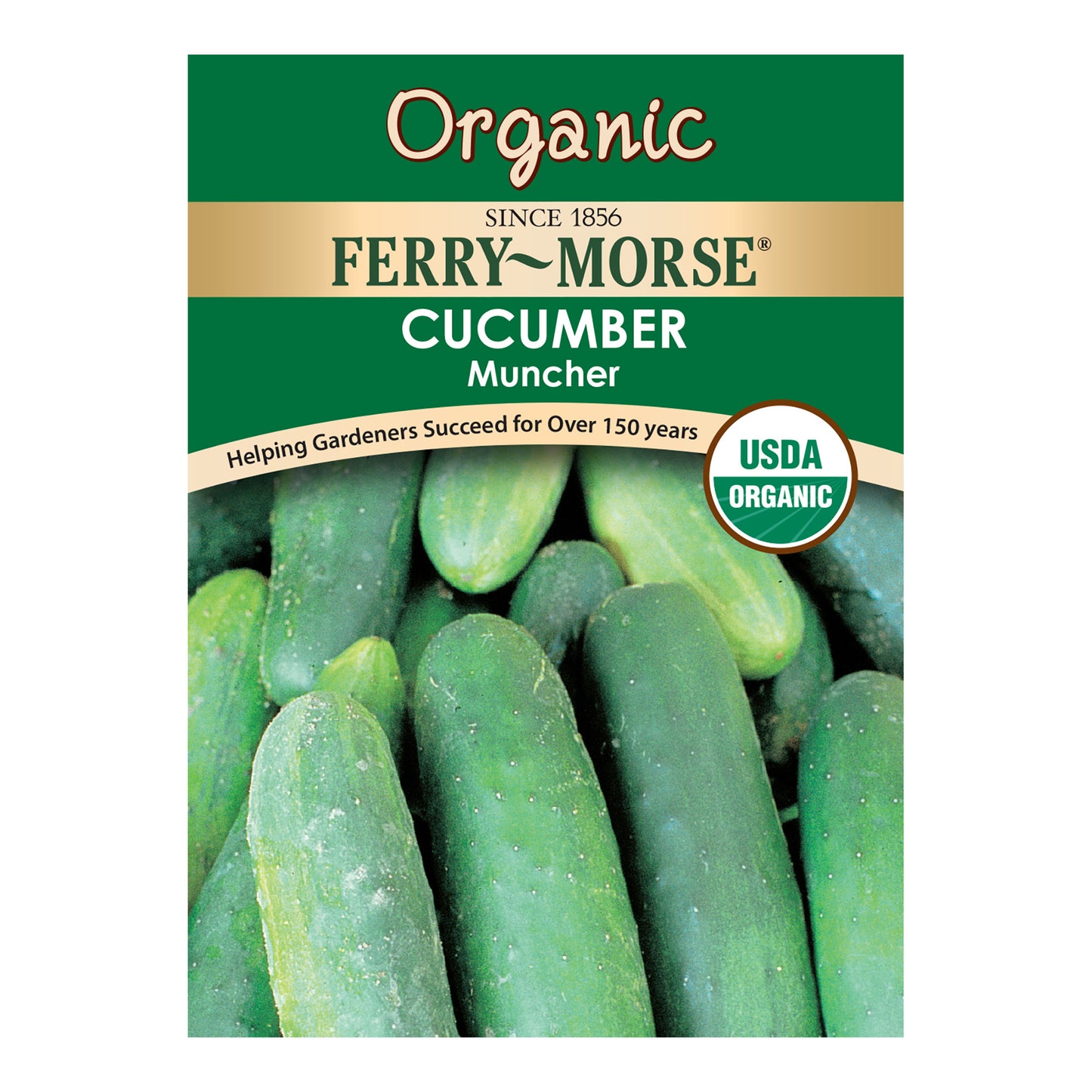 Organic Cucumber Seeds, Muncher