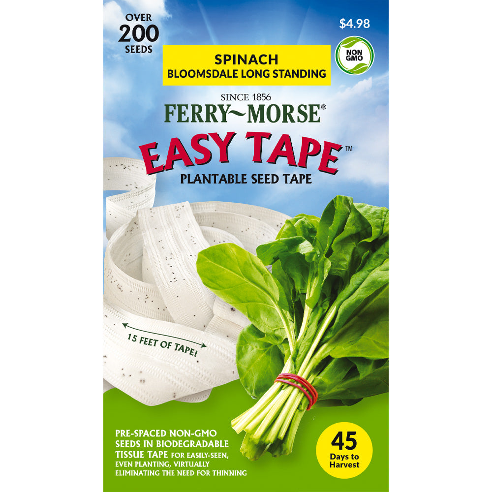 Spinach Seed Tape, Bloomsdale Long Standing