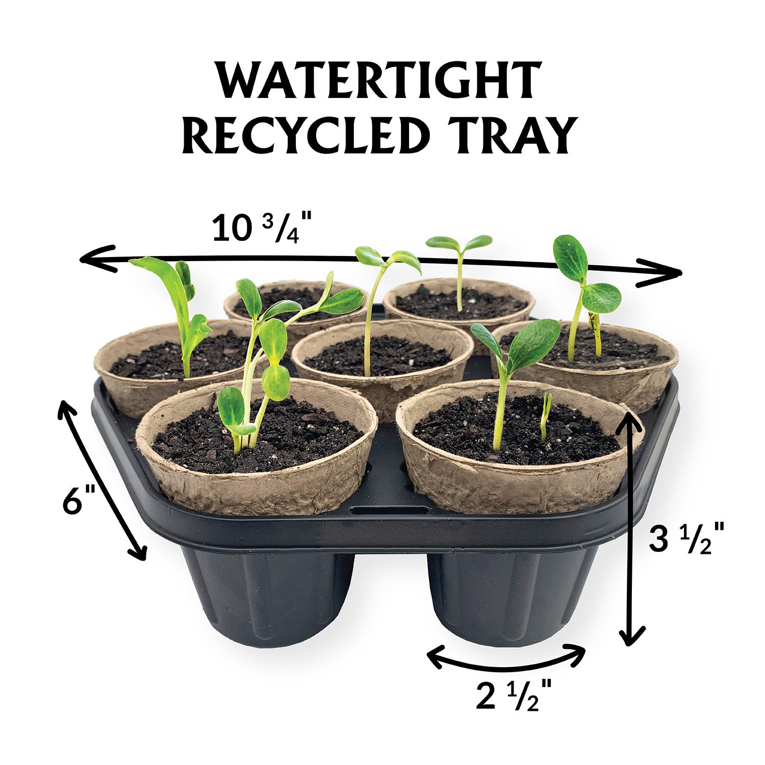 Ferry Morse 7 Pot Circular Tray With Starting Pots – Ferry-Morse