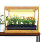 Ferry-Morse Modern Indoor Bamboo LED Growhouse