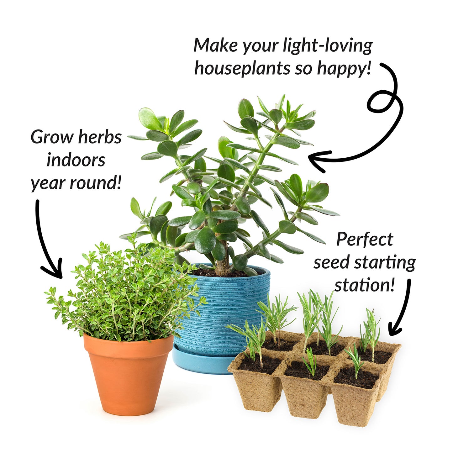 Plant call outs