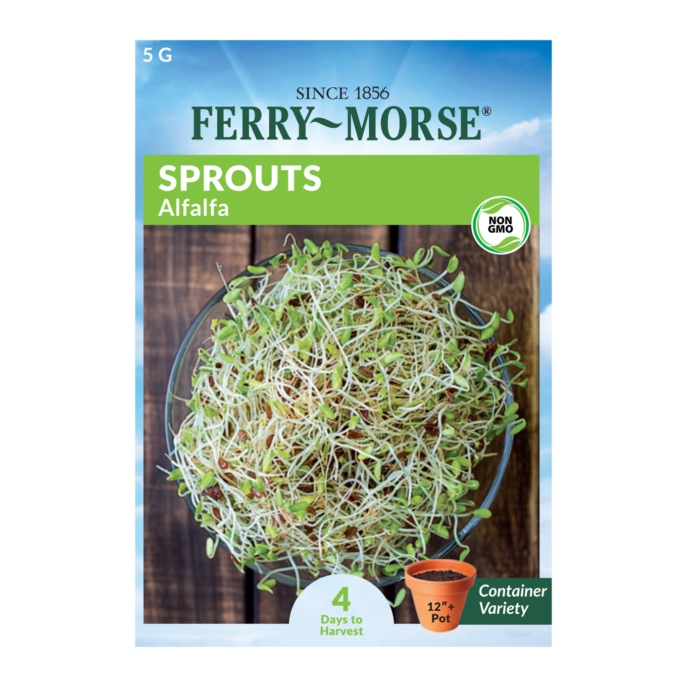 Alfalfa Sprouts Microgreens Seeds Front of packet_Picture shows freshly harvested alfalfa sprouts in a clear glass dish. 4 Days to Harvest.