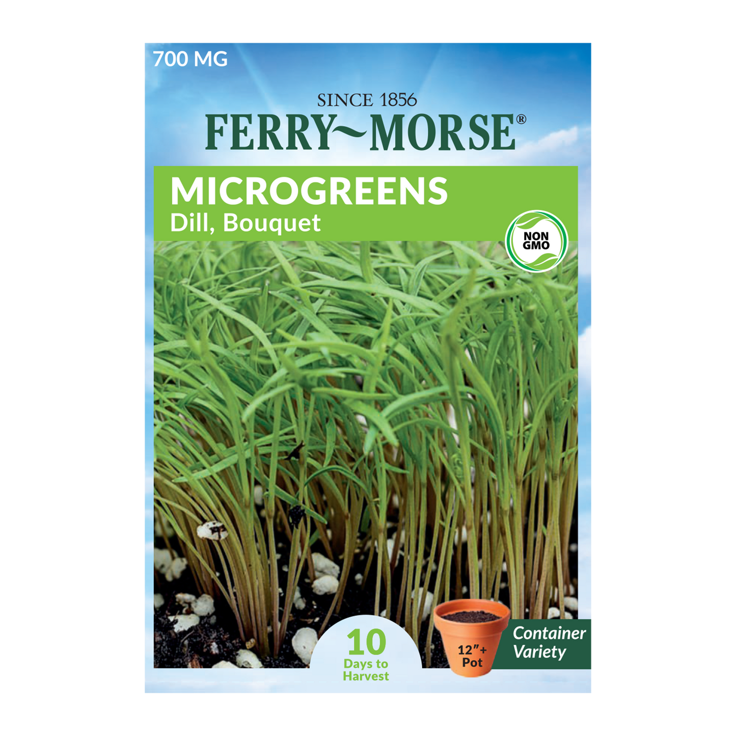 Bouquet Dill Microgreens Seeds from Ferry Morse_Picture displays dill microgreens seed packet with long slim sprouts that have feathery leaves, great garnish.