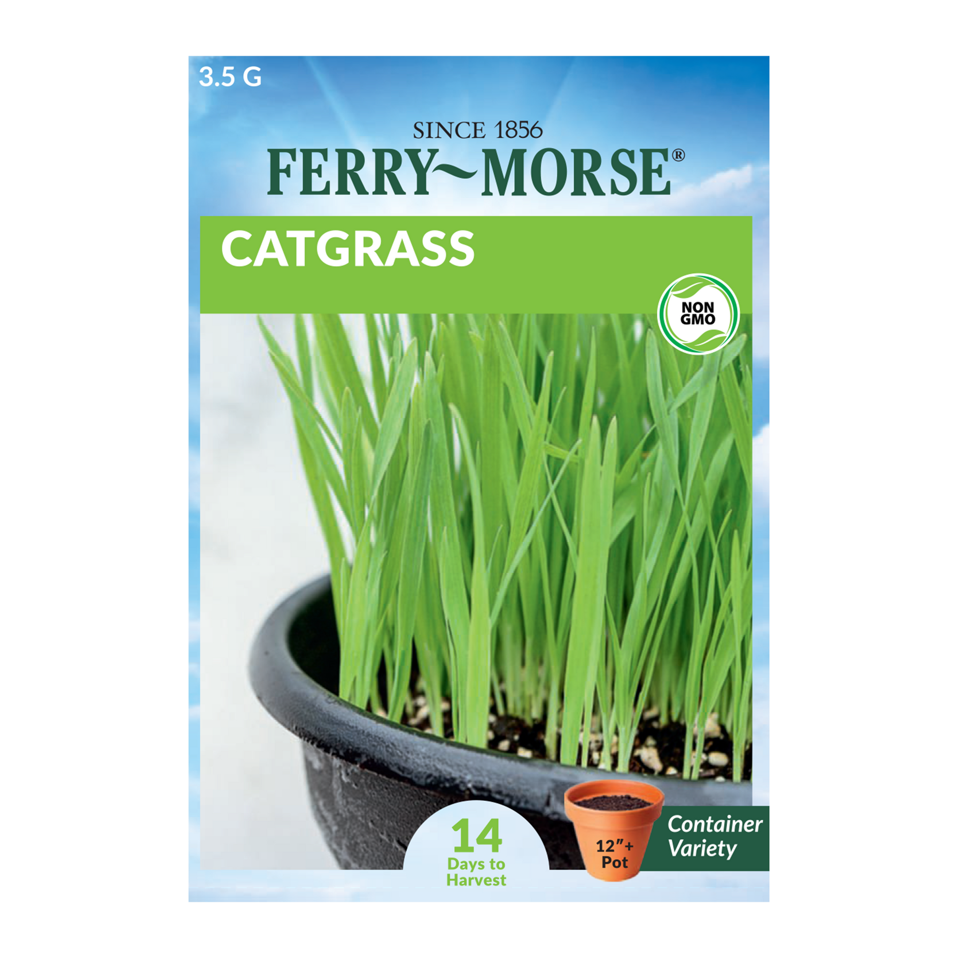Catgrass Microgreens Seeds_Front of microgreens seeds packet_14 Days to Harvest