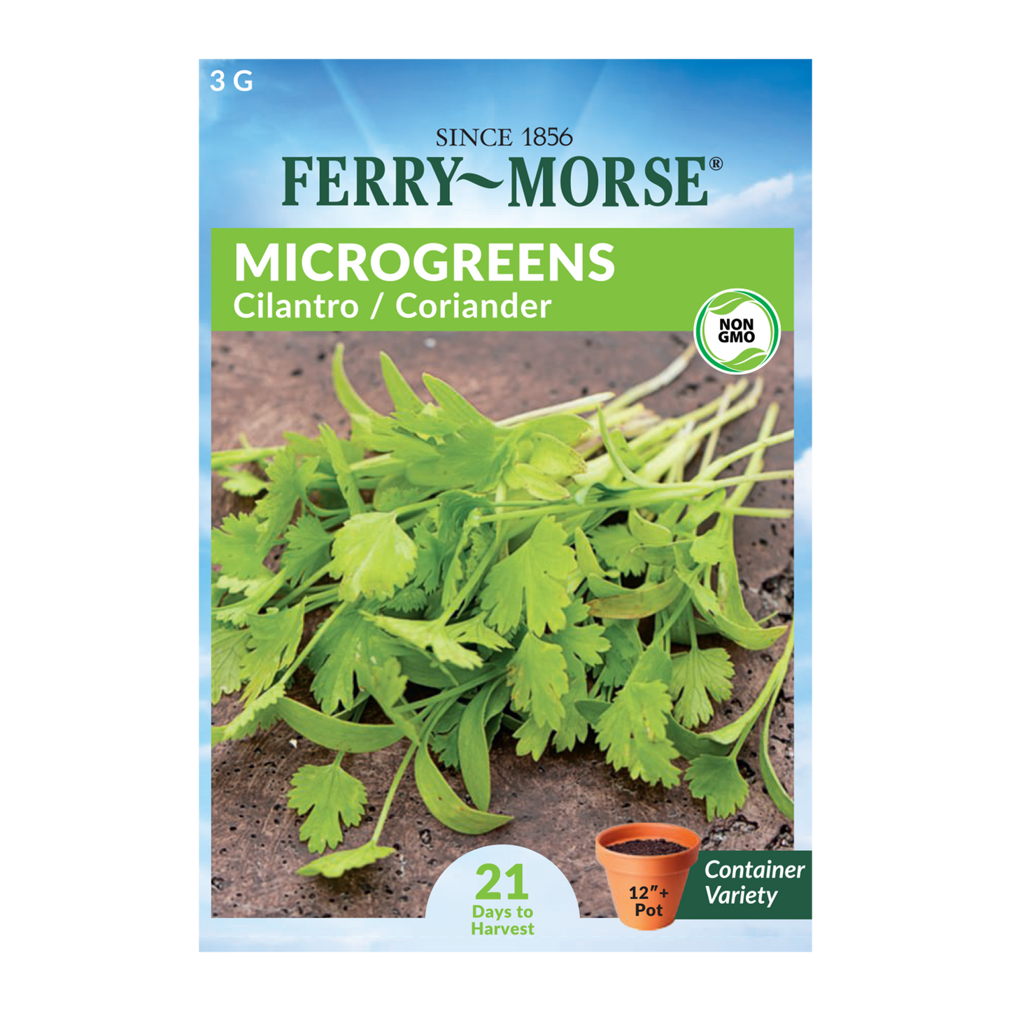 Coriander Cilantro Microgreens seeds from Ferry Morse