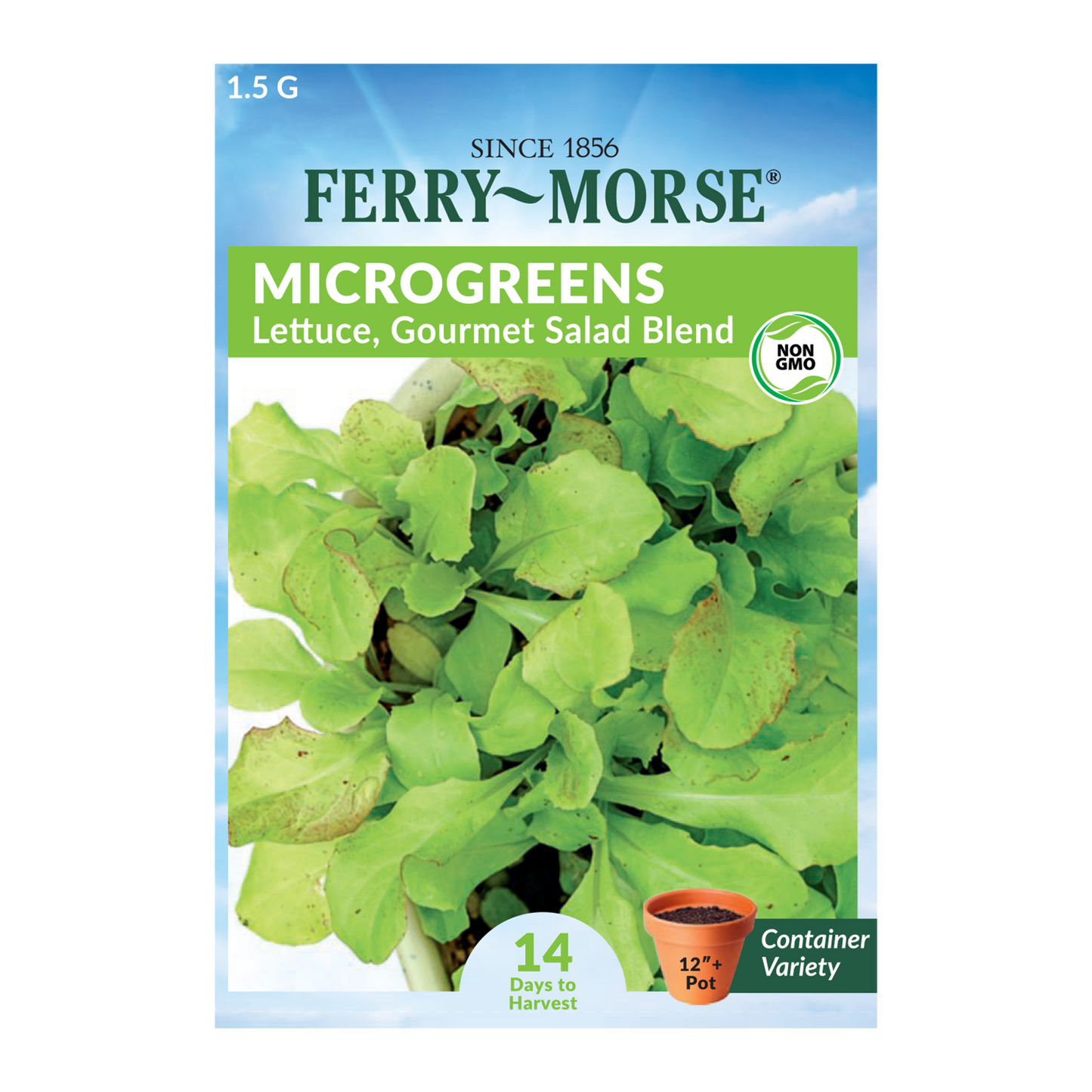 Gourmet Salad Blend Lettuce Microgreens Seeds packet front_Front of seed packet displays young, freshly harvested gourmet lettuce leafs.