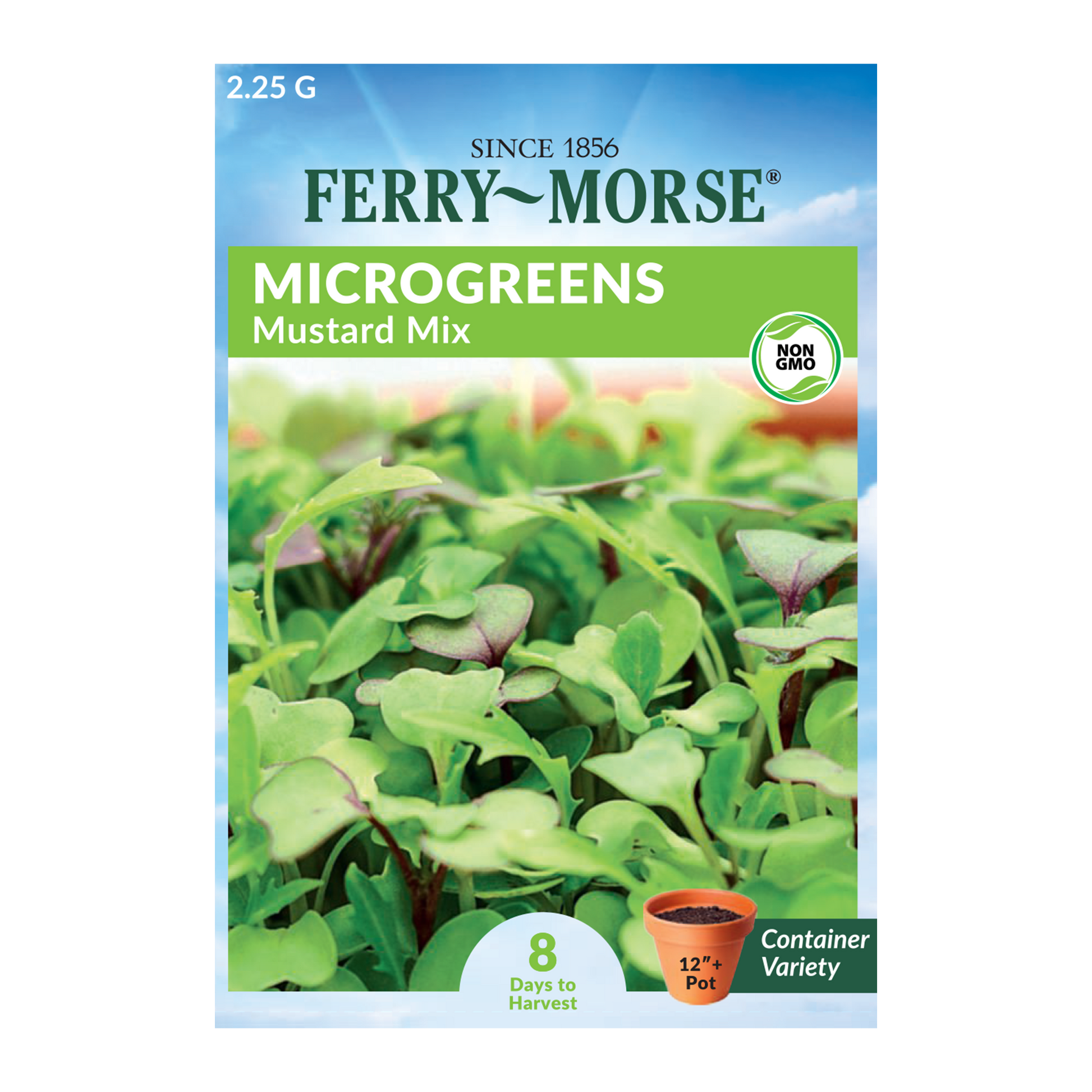 Mustard Braising Mix Microgreens Seeds_Front of microgreens packet_8 Days to Harvest