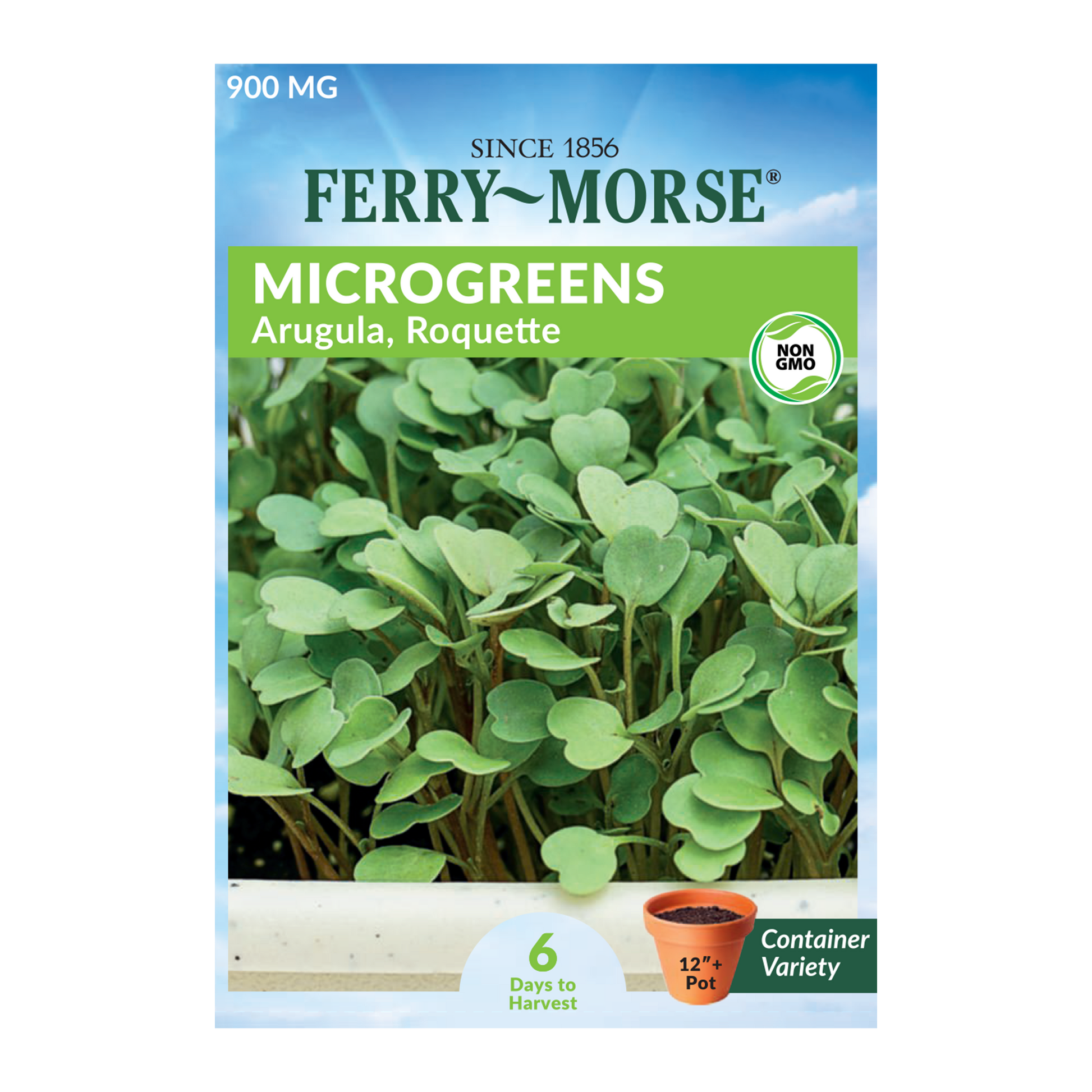 Roquette Arugula  Microgreens Seeds packet from Ferry Morse_Healthy green Arugula microgreen sprouts!