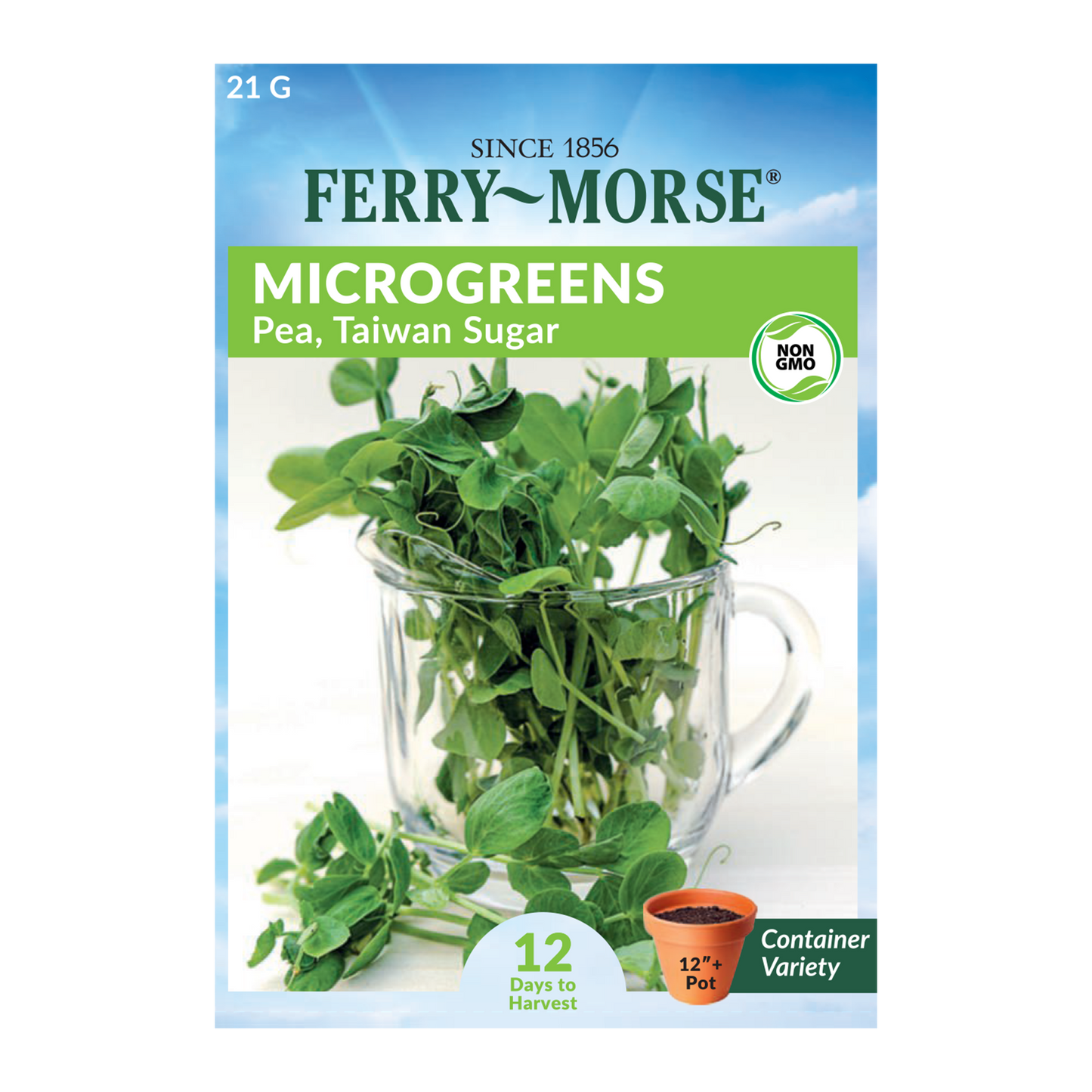 Taiwan Sugar Pea Microgreen Seeds_Front of pea microgreens seeds packet_12 Days to Harvest_Photo shows delicious looking pea microgreens in a clear glass cup.