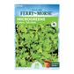 Tall Utah Celery Microgreen Seeds_Front of Packet