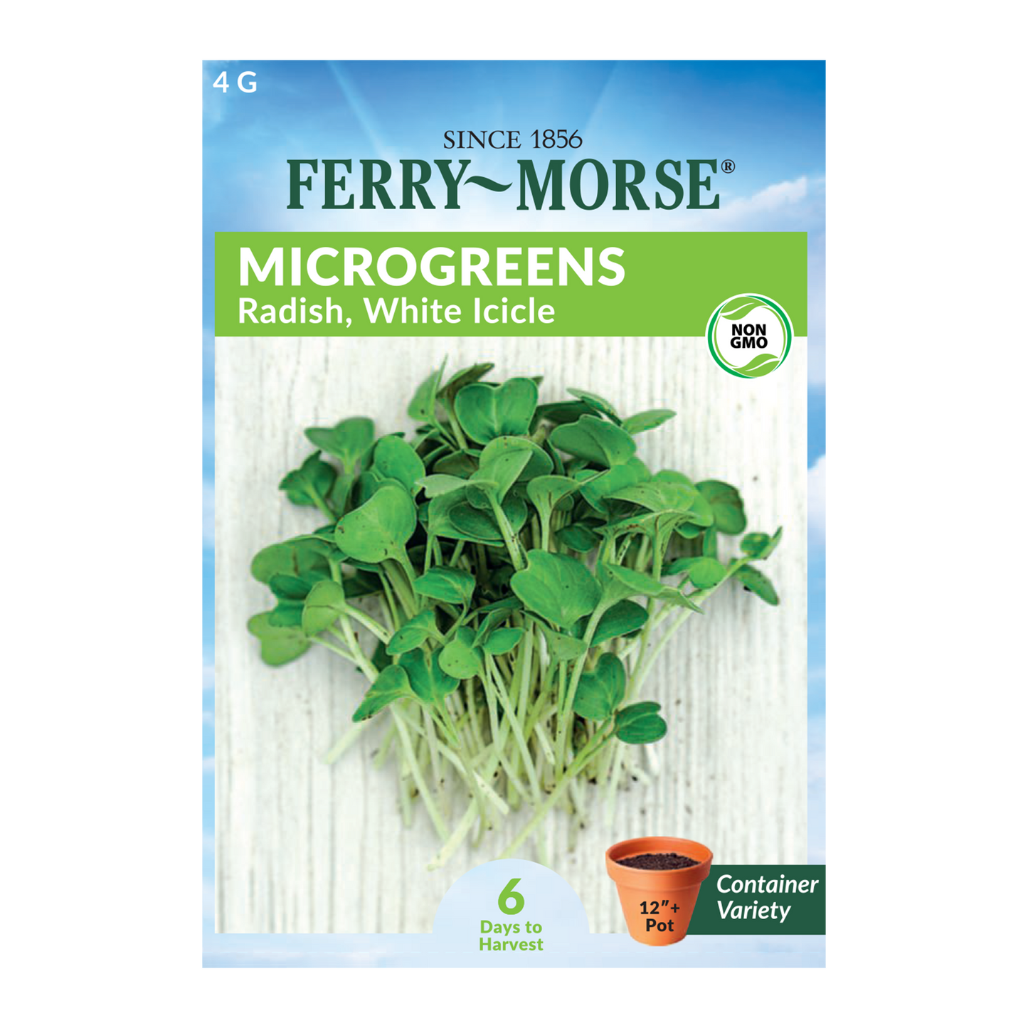 White Icicle Radish Microgreens Seeds_Front of radish microgreens seeds packet_6 Days to Harvest