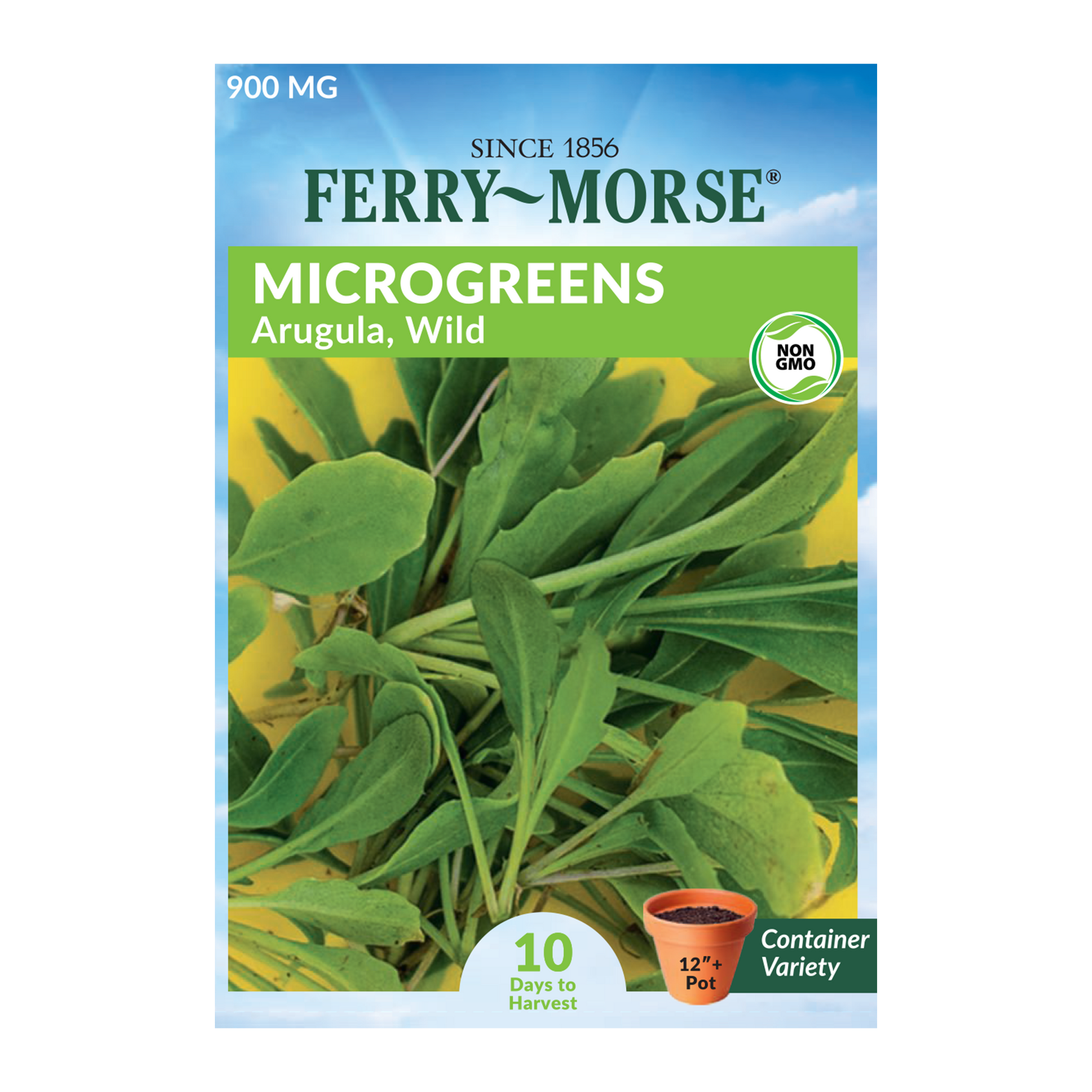 Wild Arugula Microgreens Seeds packet Ferry Morse_Packet displays freshly harvested wild arugula micro sprouts ready for garnishing or flavoring your next dish!