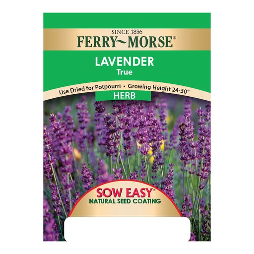 Lavender Seeds, True Sow Easy