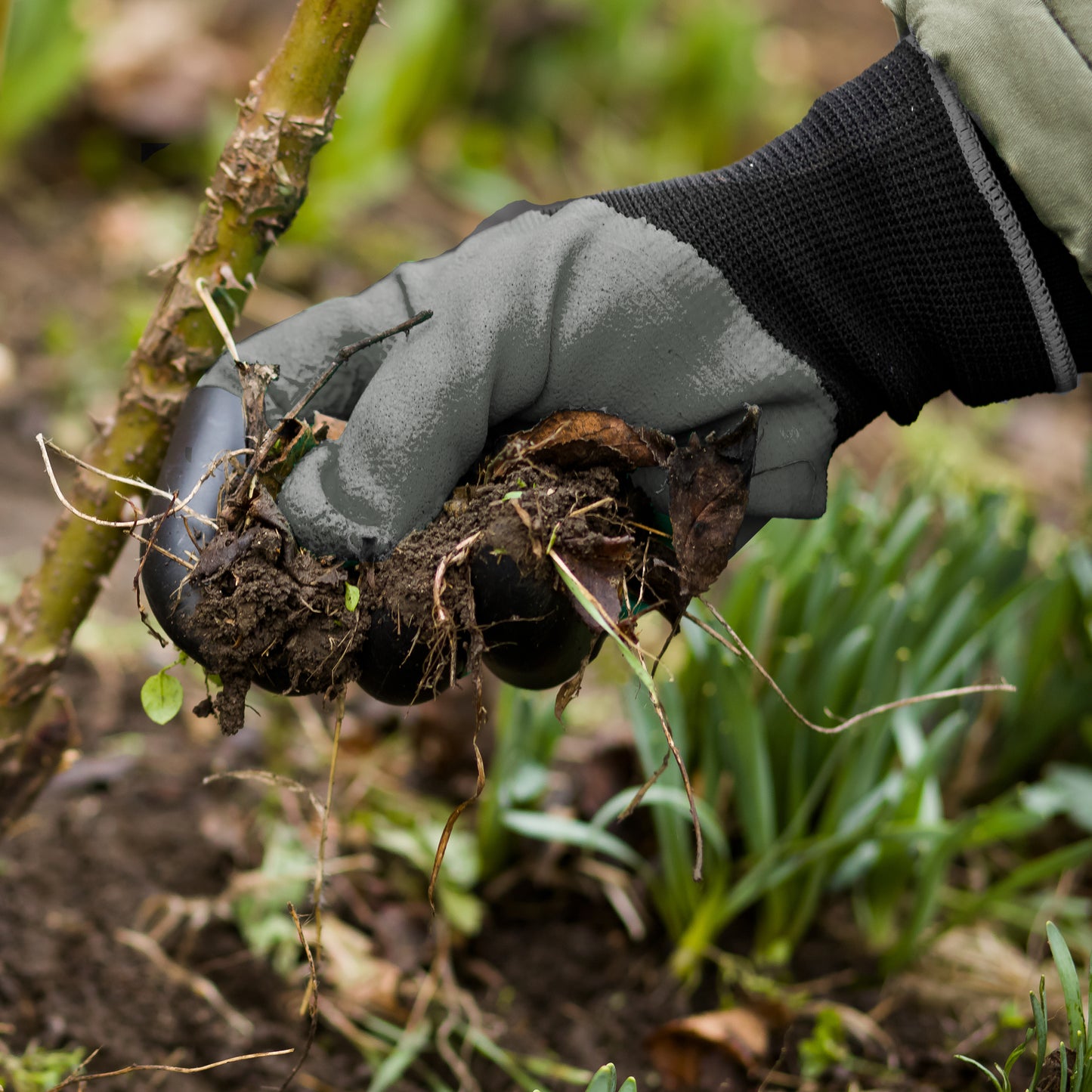 Ferry-Morse Garden Gloves w/Digging Claw