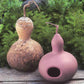 Garden Birdhouse Gourds seeds, fully matured and harvested. One even displays a birdhouse that was made from it.