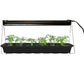 Ferry-Morse Grow Light With Seedlings