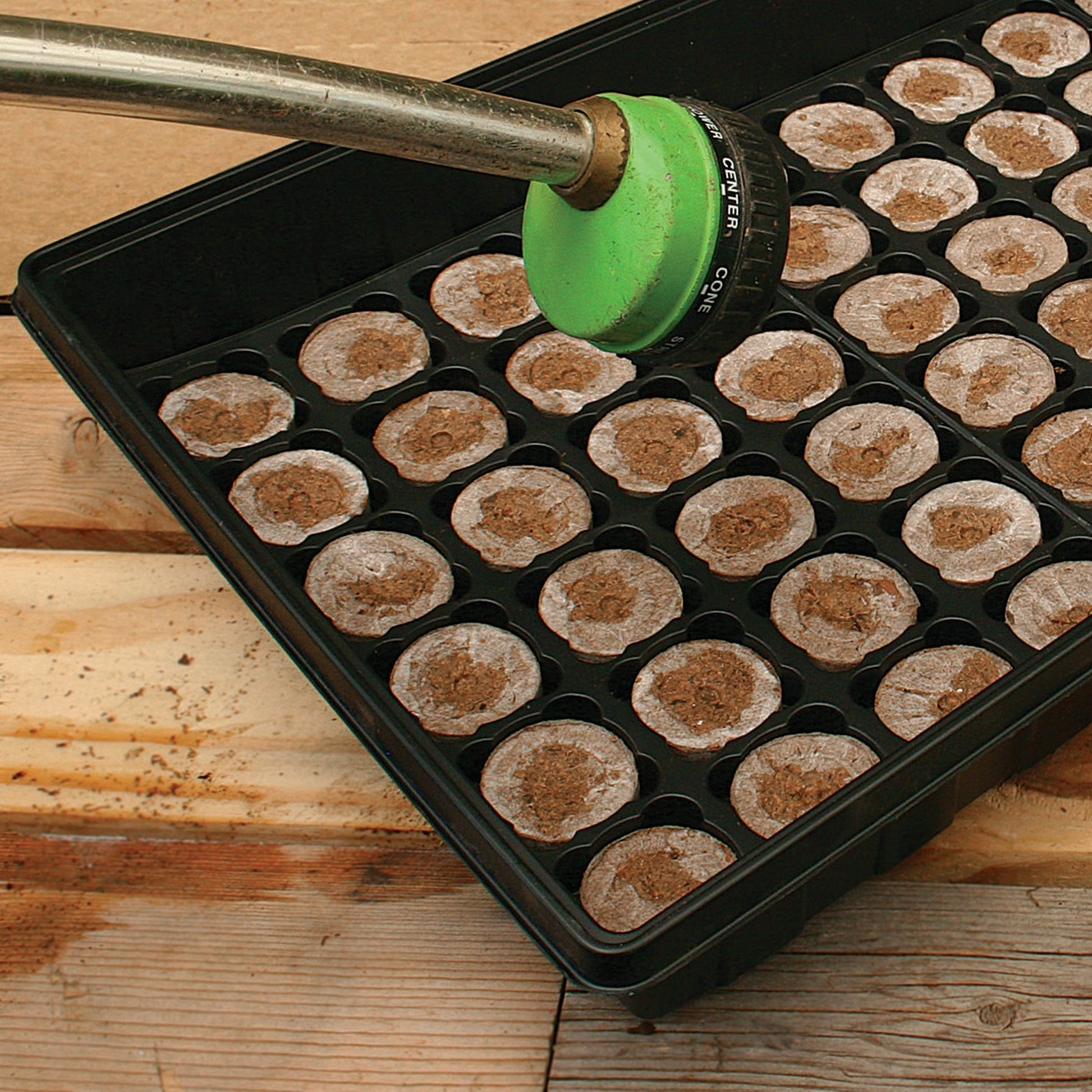 Add water to your watertight base tray with the peat pellets inside in order for them to absorb and expand so you can sow your seeds.