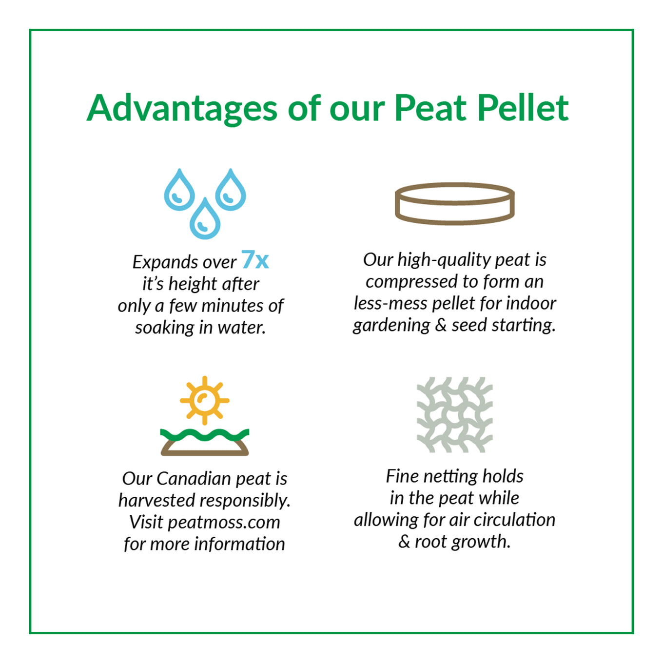 Illustration of the advantages of using a peat pellet for seed starting