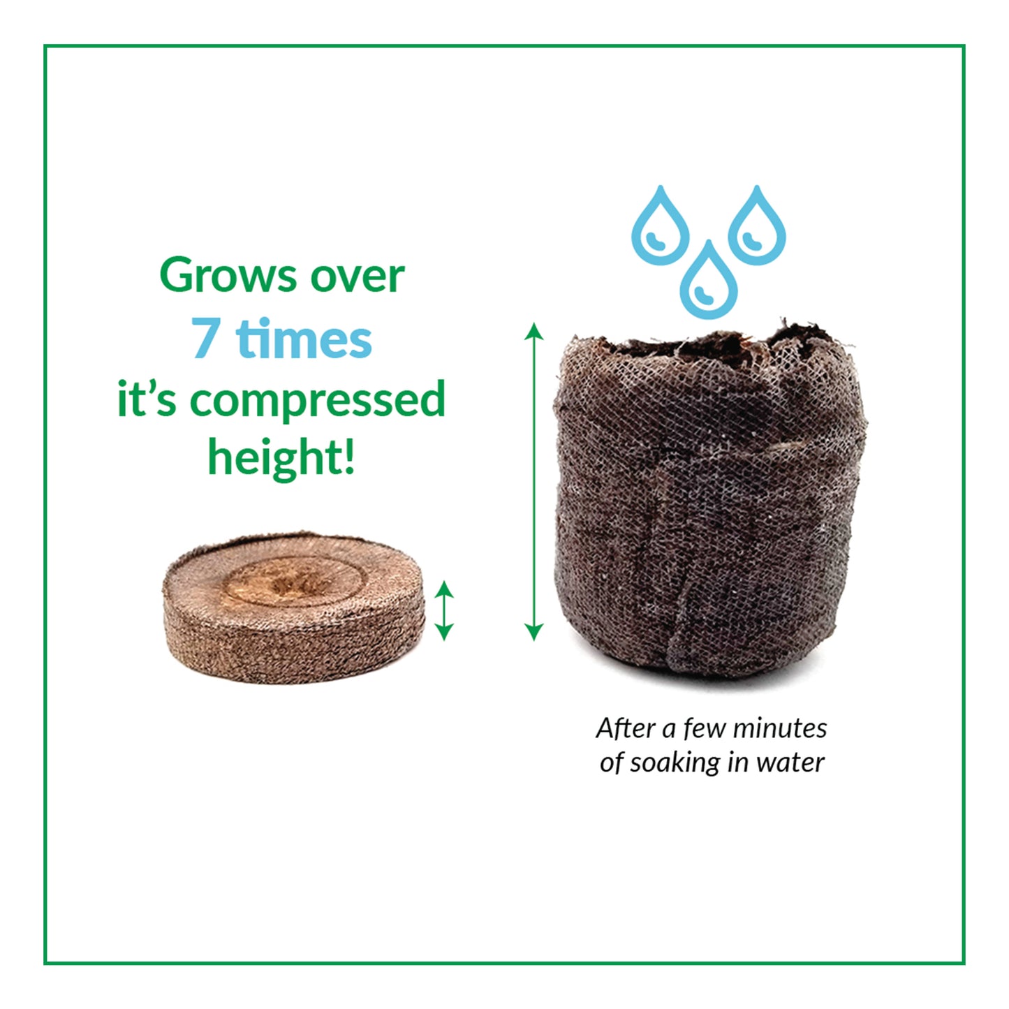 Illustration of how a compressed peat disc expands once you have added water.