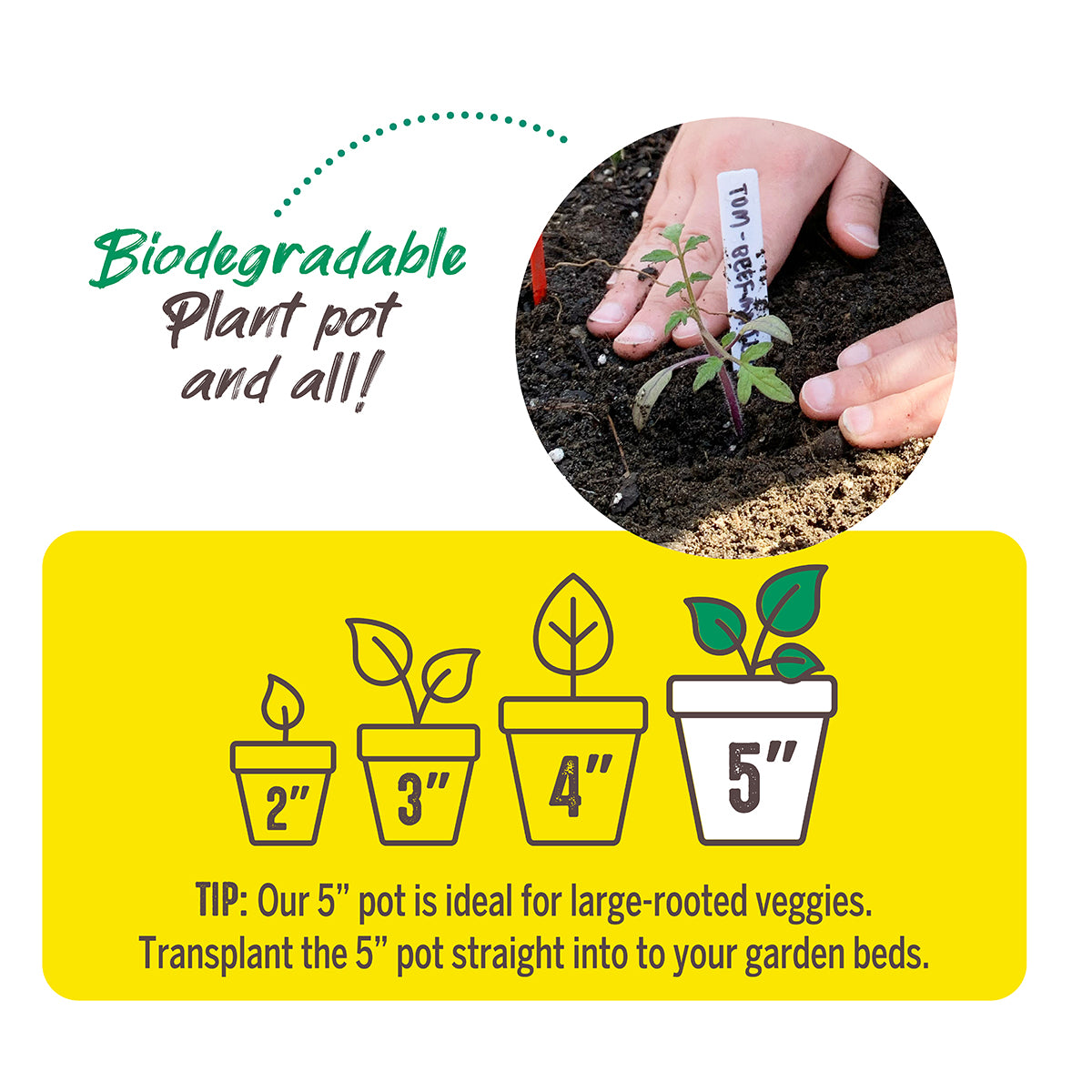 Jiffy-Pots, 5 inch Peat Pots