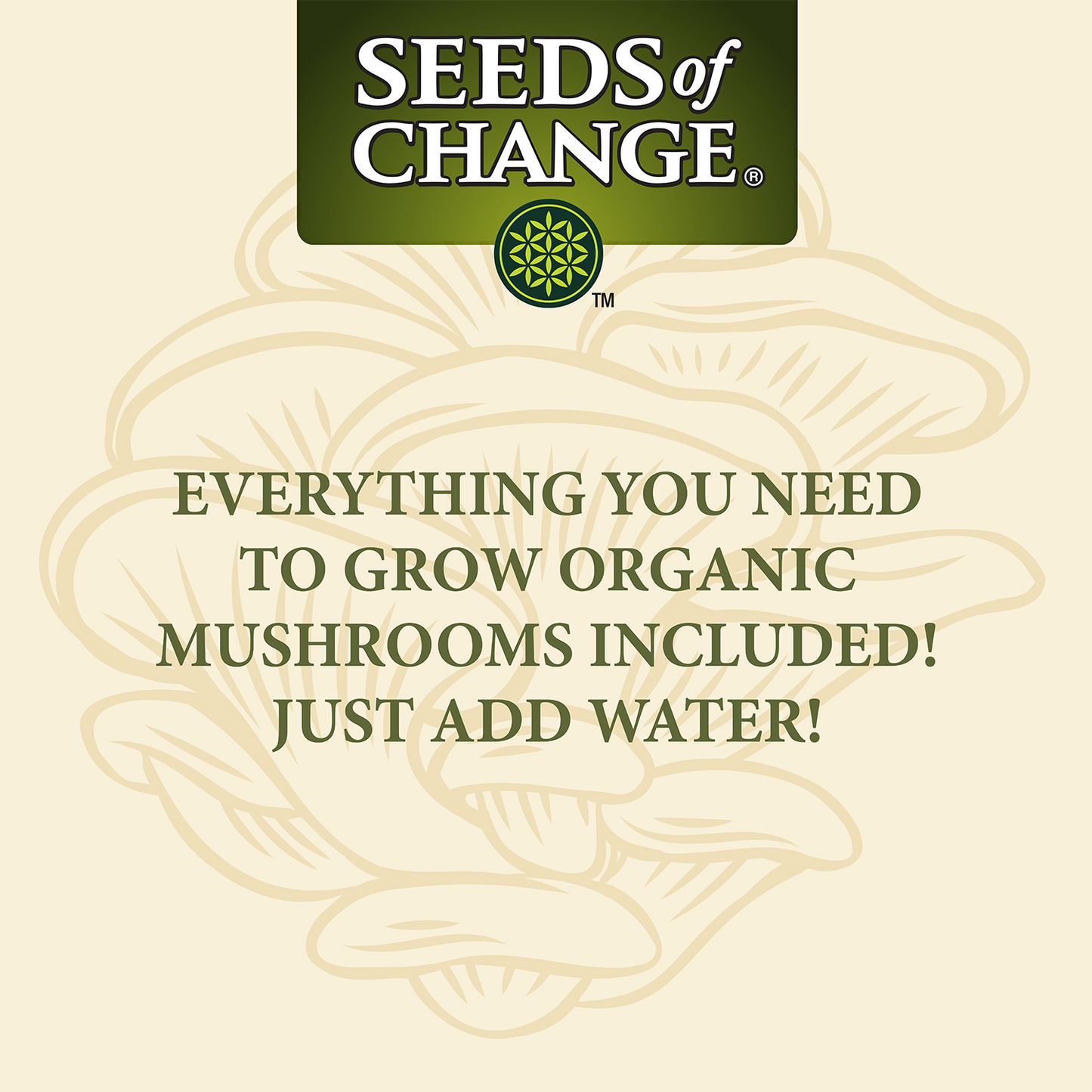 Seeds of Change Organic Mushroom Oyster Grow Kit
