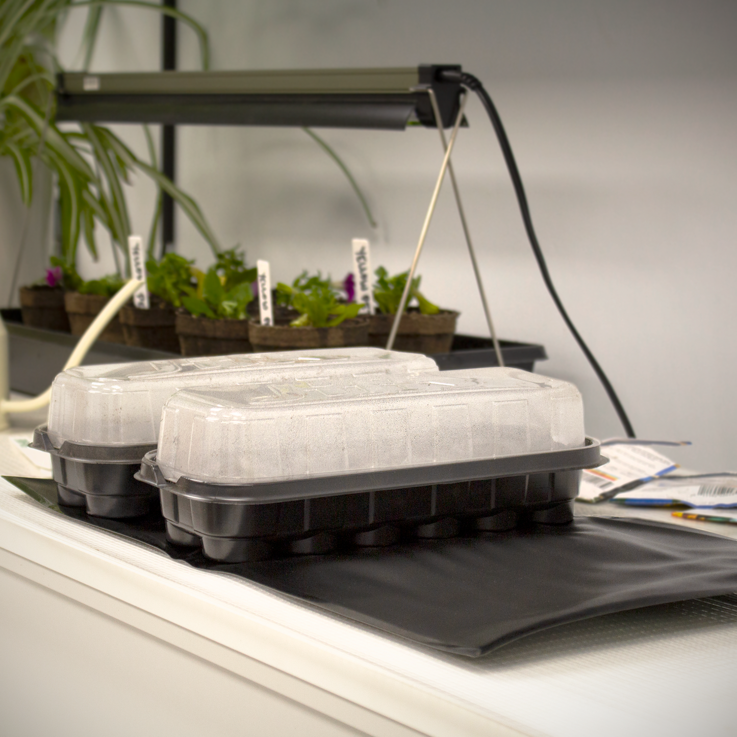 Ferry-Morse Seed Germination Heat Mat for Indoor Gardening