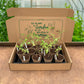 Pot Up Your Seedlings & Transplant Kit