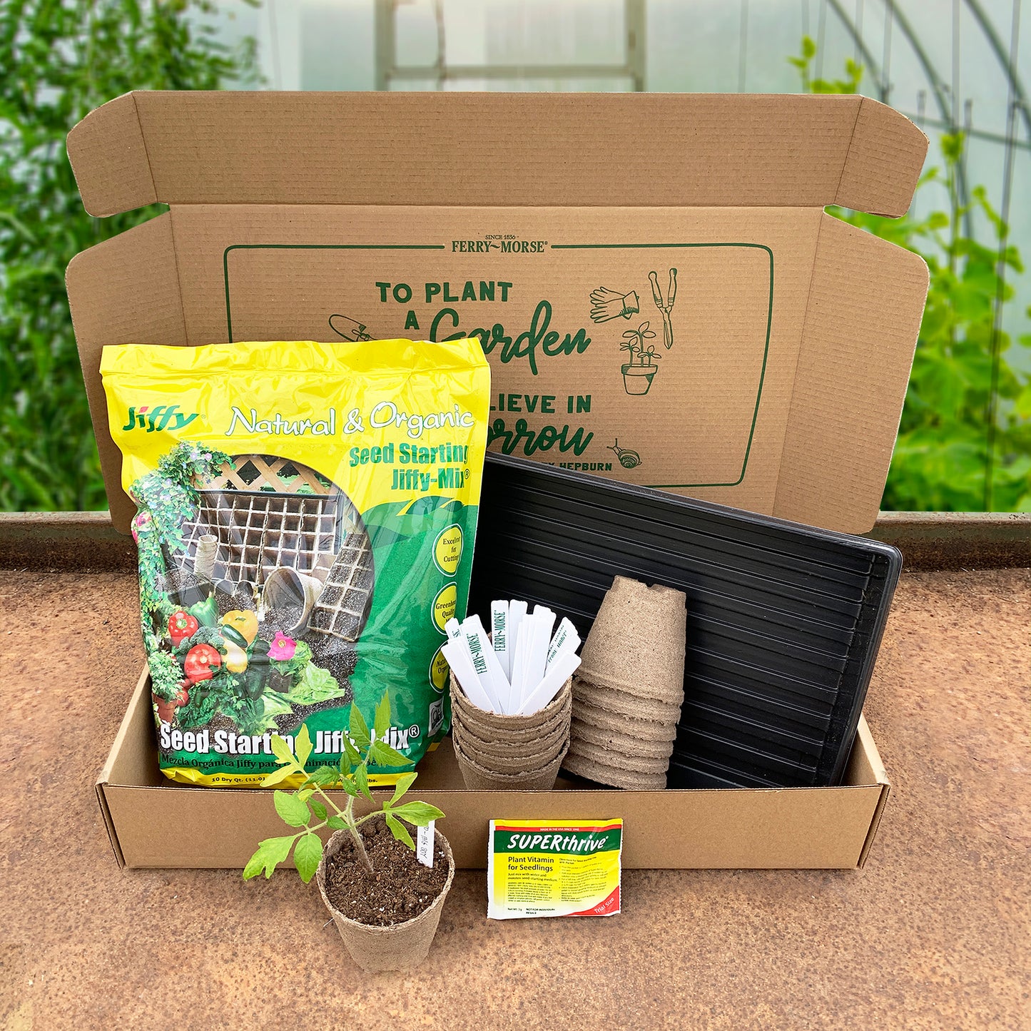 Pot Up Your Seedlings & Transplant Kit