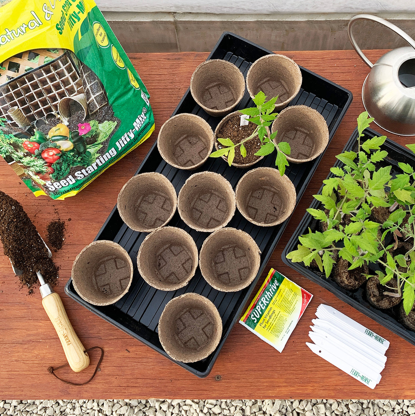 Ferry-Morse Pot Up Your Seedlings & Transplant Kit