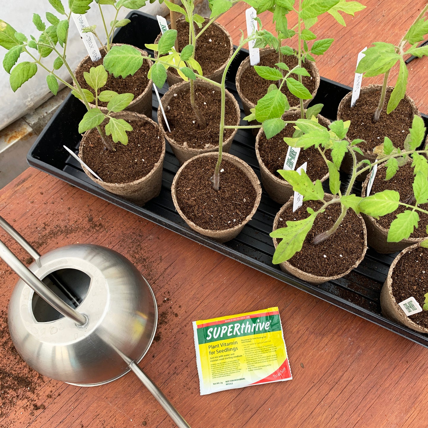 Pot Up Your Seedlings & Transplant Kit