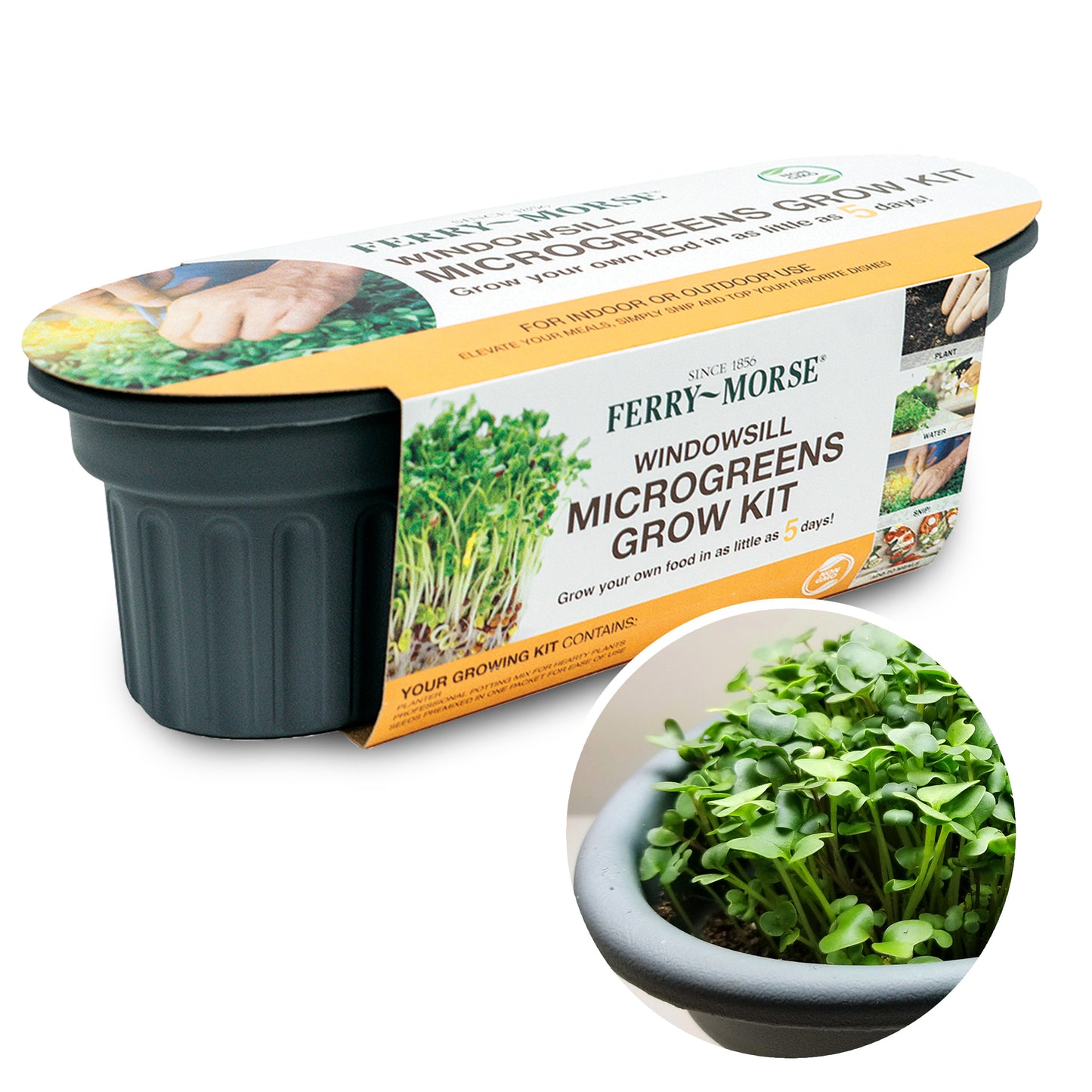 Ferry-Morse Windowsill Microgreens Indoor Gardening Grow Kit in its product packaging. Photo of grown out microgreens in bottom-right corner.