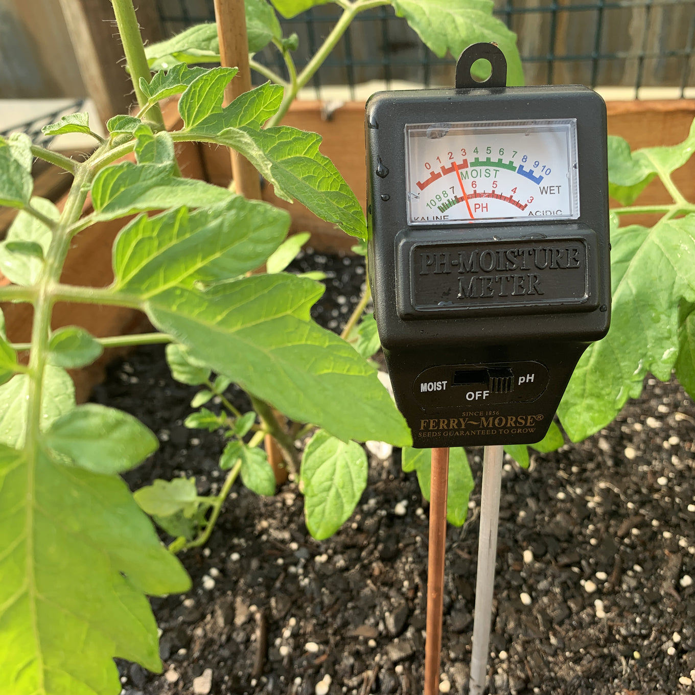 Moisture Meter