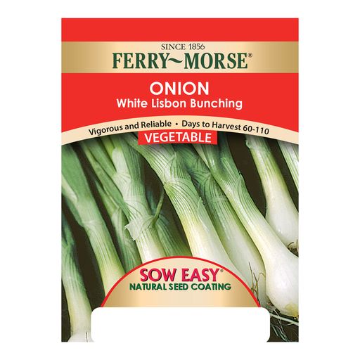 Onion Seeds, White Lisbon Bunching Sow Easy