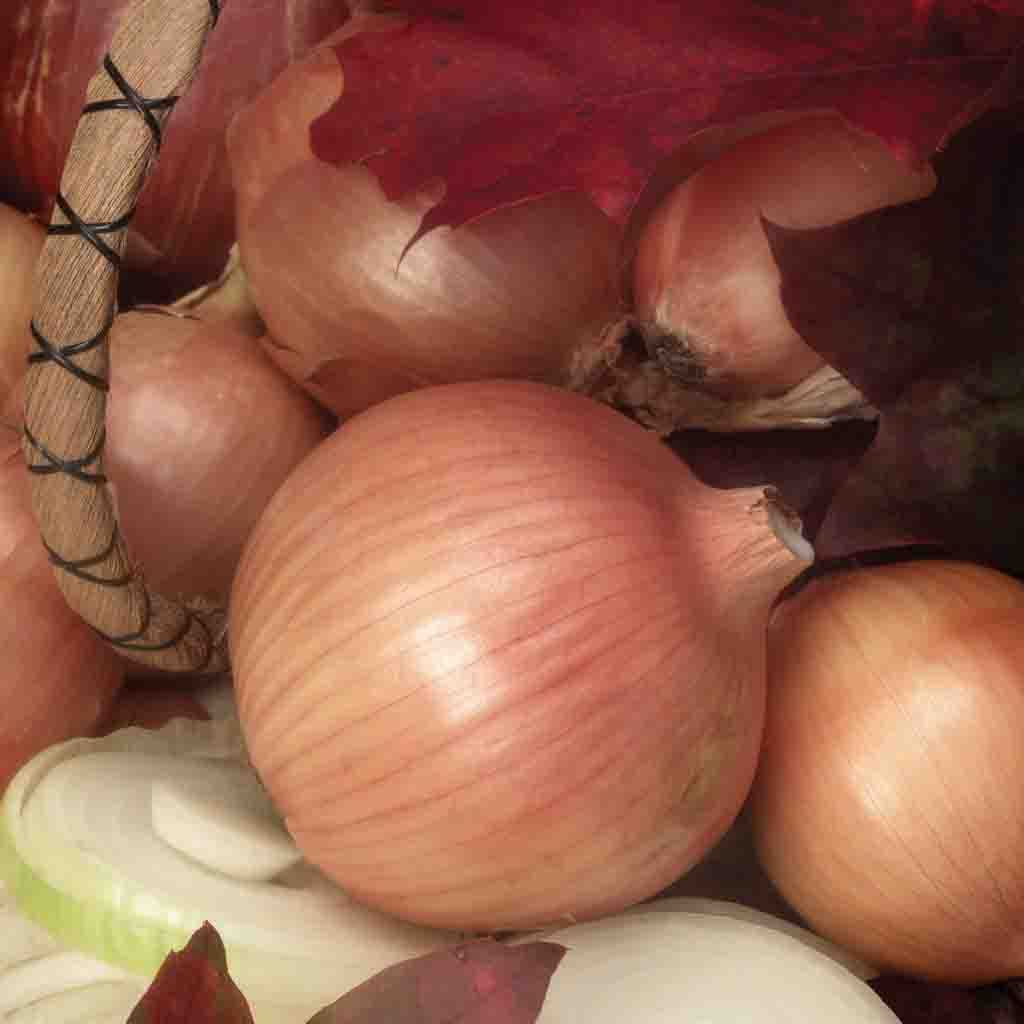 Sweet Spanish Yellow Utah Jumbo Onion seeds freshly harvested and ready to be consumed after they have reached maturity!