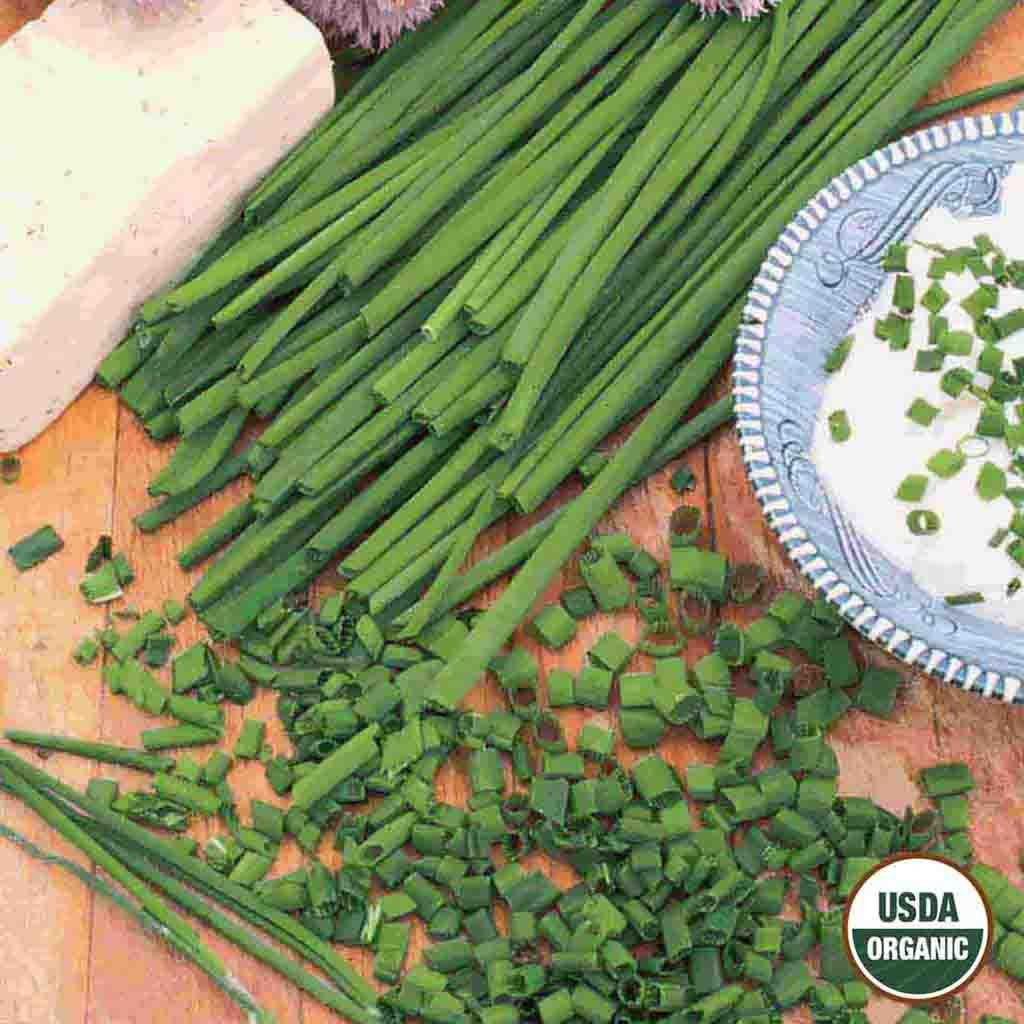 USDA Organic Chives seeds_Ferry Morse seeds_Picture shows a bundle of long, thin, hollow chive shoots next to some chopped chive sprinkled on top of a yummy sauce!