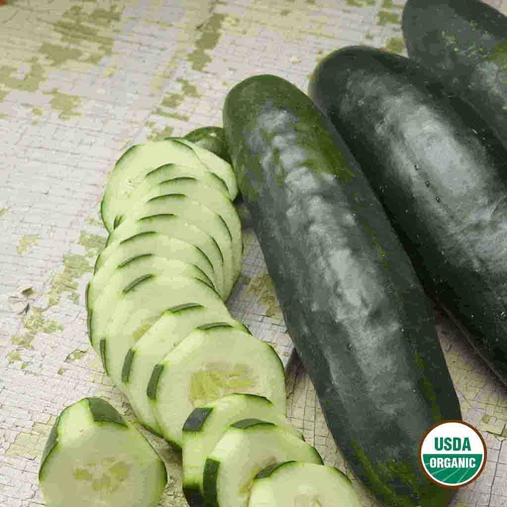 Garden Sweet Burpless F1 Organic Cucumber seeds matured and harvested, picture shows cucumbers and a shaved and sliced cucumber next to them for reference.