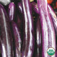 Organic Early Long Purple Eggplant Seeds from Ferry Morse Home Gardening_Ripe Early Long Purple Eggplant in photo.