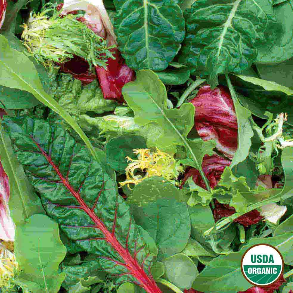 Organic Gourmet Mesclun Greens seeds from Ferry Morse Home Gardening