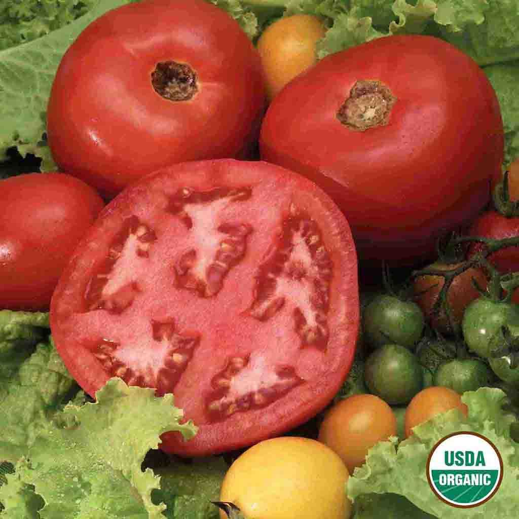 Organic Beefsteak Tomato seeds from Ferry Morse, fully grown and freshly harvested. Large luscious tomatoes are shown, one is cut in half to show the center of the tomato.