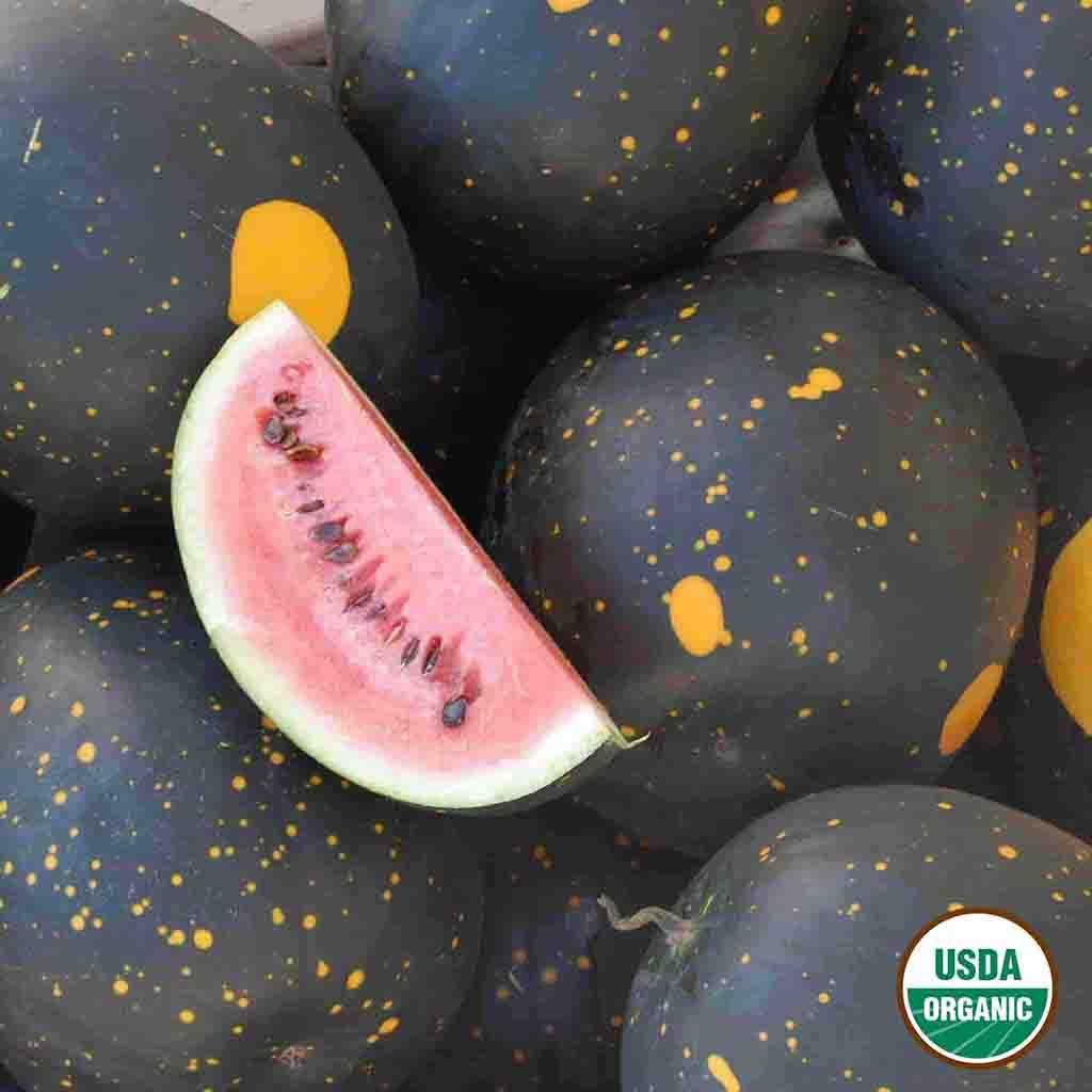Organic Watermelon Moon and Stars Seed