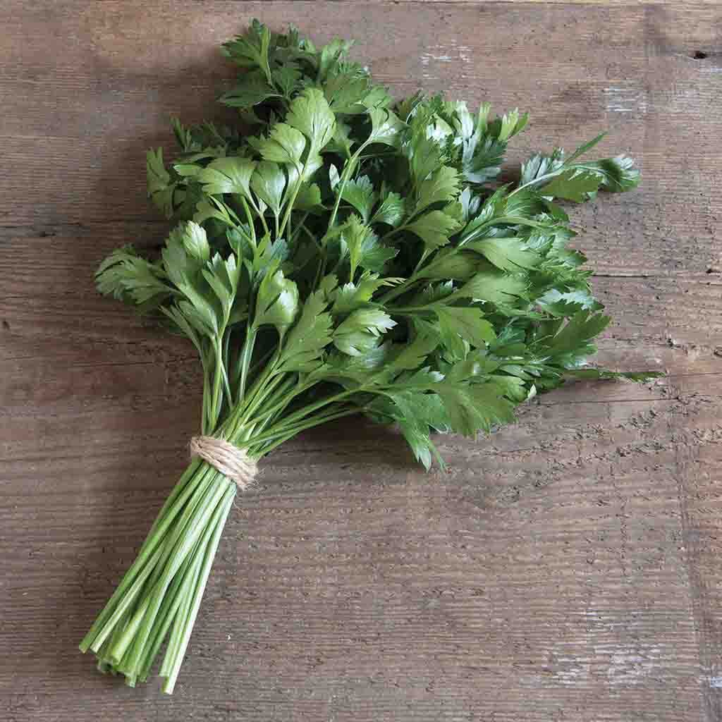 Giant of Italy Parsley freshly cut and tied together sitting on a wooden chopping block.