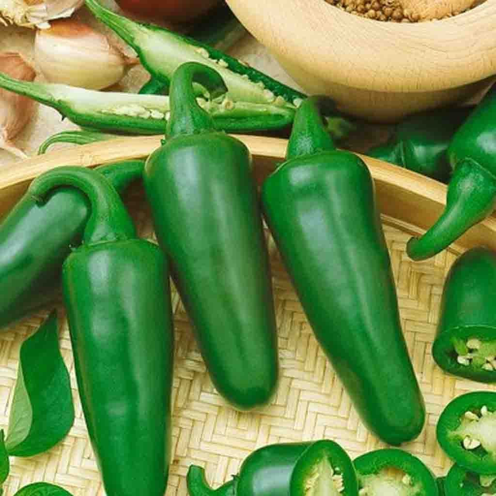 Early Hot Jalapeno Pepper picked and sliced horizontally and vertically for reference.